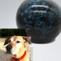 Preview: Kugelurne Hund im Licht Weiß - auch nach Foto